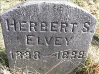 Elvey, Herbert S